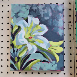 Morning Lilies